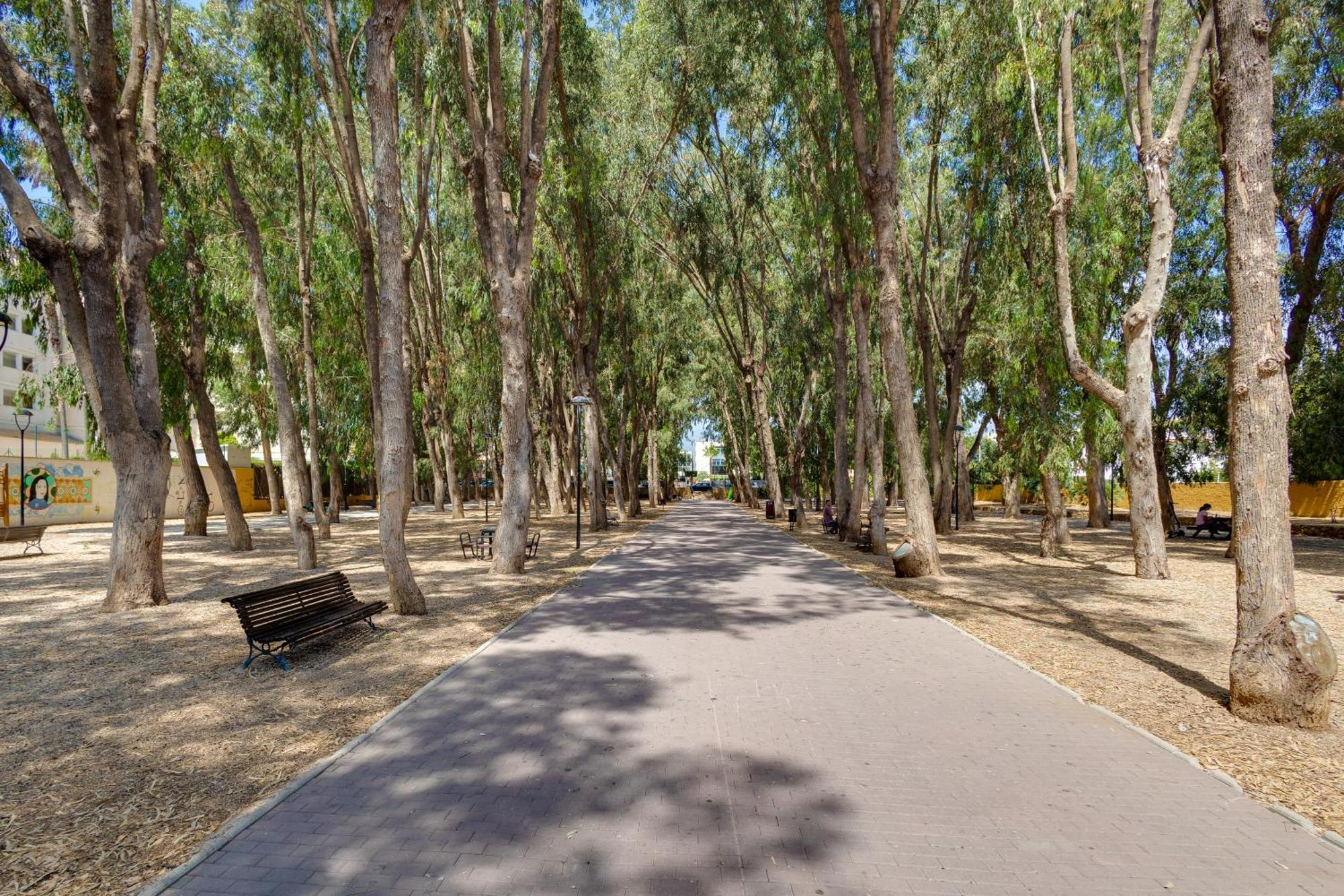 אלביר Apartamentos Oasis מראה חיצוני תמונה